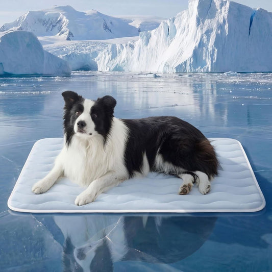 Cooling Dog Mat Extra Large - Q-Max>0.4 XL Thin Breathable Cold Crate Pad Indoor for Pets with Chill Cool Fiber as Cooling Topper，Portable Washable Kennel Mat in Outdoor Summer, 41x28, Blue