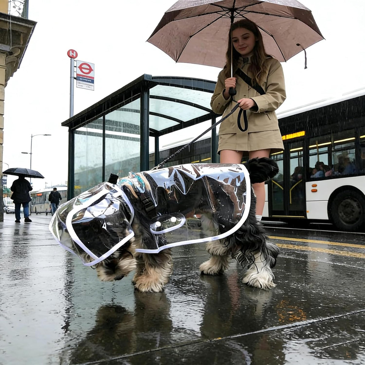 Clear Dog Rain Poncho for Small Medium Dogs - Heavy Waterproof Raincoat with Hidden Leash Hole & Adjustable Snaps - Transparent, Pet Hooded Cape for Bichon Poodle (4-8lbs)