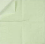 100 Pack Cocktail Napkin 2-Ply Dessert Napkins Folded 5 x 5 Inches Disposable Napkins for Dinner Wedding Birthday Party Bridal Anniversary Recepti Event (100, Sage-Green)