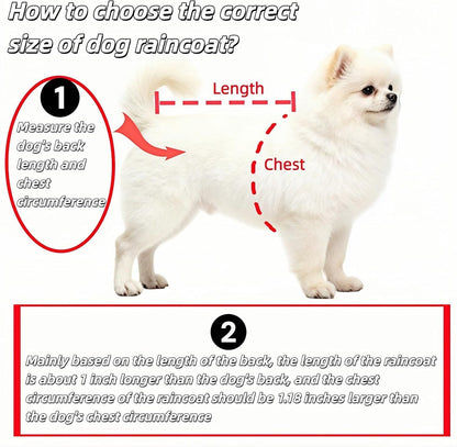 Transparent Dog Rain Poncho for Small Medium Dogs - Thick Waterproof Raincoat with Hidden Leash Hole & Adjustable Snaps, Windproof Hooded Cape for Bichon Poodle (Large)