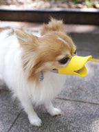 Dog Muzzle,Anti Bite Duck Mouth Shape DogMouth Covers,Soft Duck Silicone Mouth Cover with Adjustable Strap,Small Medium Dogs Muzzle Mask to Prevent Barking,Biting,Chewing(:Yellow,L:13cm/5.12inch)