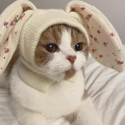 Small Dogs Cats Knitted Snood Cute Hat with Rabbit Ears for Winter Warm, Pet Scarf Headwear Accessory for Photo (White,L)