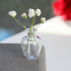 Tiny Vase for Cat Whisker, Cat Whisker Jar Holder, Miniature Flower Vase, Cat Whisker Storage Collection, Miniature Glass Vase Ornaments, Cat Memorial Gifts for Cat Lovers