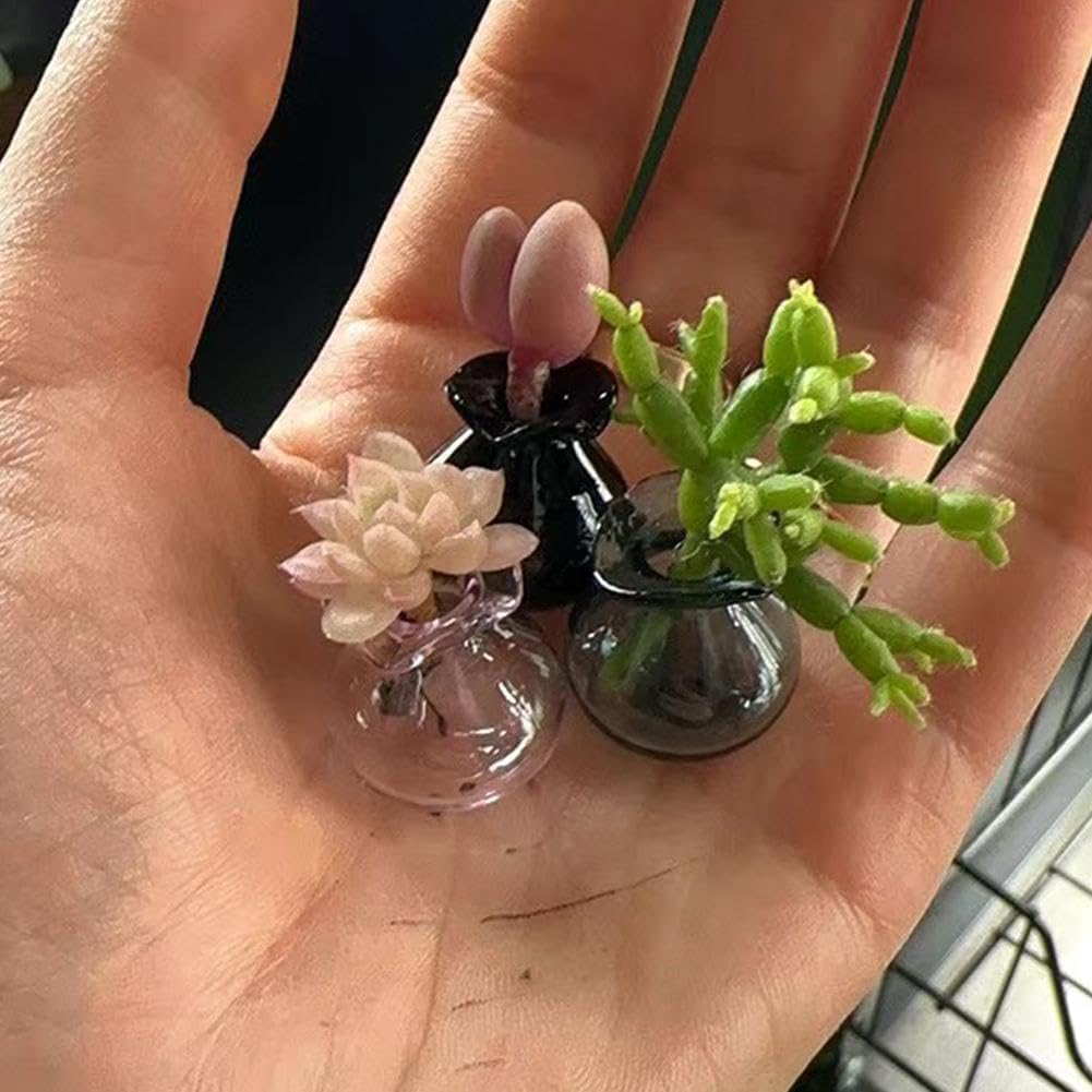 Tiny Vase for Cat Whisker, Cat Whisker Jar Holder, Miniature Flower Vase, Cat Whisker Storage Collection, Miniature Glass Vase Ornaments, Cat Memorial Gifts for Cat Lovers