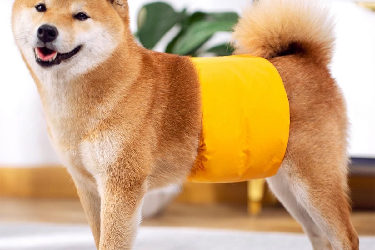 Washable Dog Diaper Water-resistant Puppy Nappy Belly Wrap for Male Dogs Reusable Dog Belly Bands Male Puppy Nappies Wrap Yellow - L