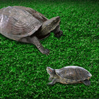 Turtle Basking Platform Simulation Grass Turtle Ramp for Fish Tank Aquarium - M