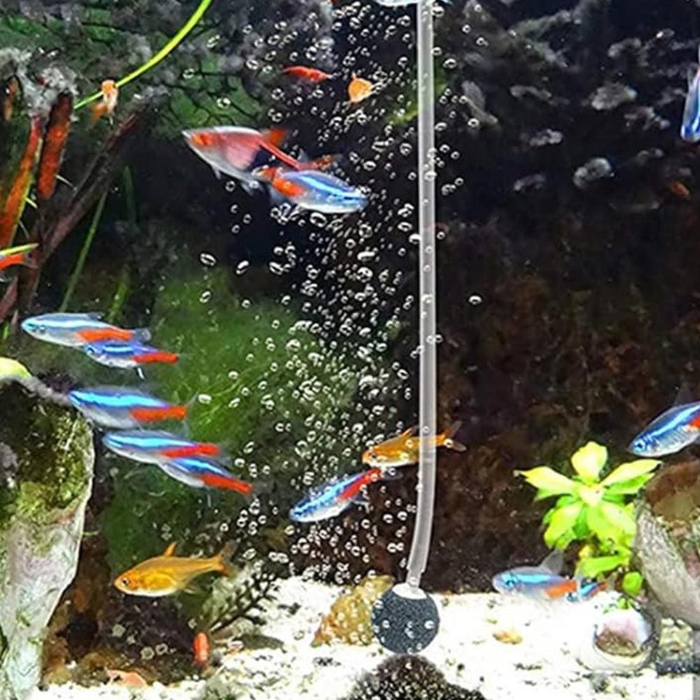 Solar Oxygenator Aquarium Oxygen Aerator Air Pump Fishing Aerator with Pipe for Garden Fish Tank Outdoor Pool Pond