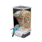 Automatic Cage Bird Feeder Outside