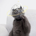 Transparent Cat Hood Astronaut Helmet Muzzle Mask Preventing Biting and Licking - Large