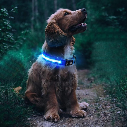 Luminous LED Pet Dog Collar Light-up USB Rechargeable Dog Collar Blue - S