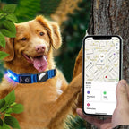 Luminous LED Pet Dog Collar Light-up USB Rechargeable Dog Collar Blue - S