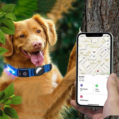 Luminous LED Pet Dog Collar Light-up USB Rechargeable Dog Collar Blue - S