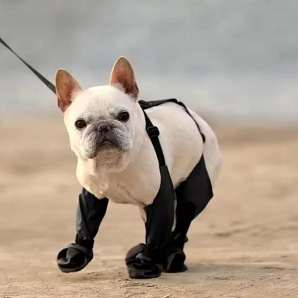 Waterproof Pet Boots Dog Rain Shoes for Outdoor Use - M
