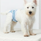 2pcs Dog Diapers Reusable Washable Nappy Wraps Panties for Pets Period Underpants-Blue L