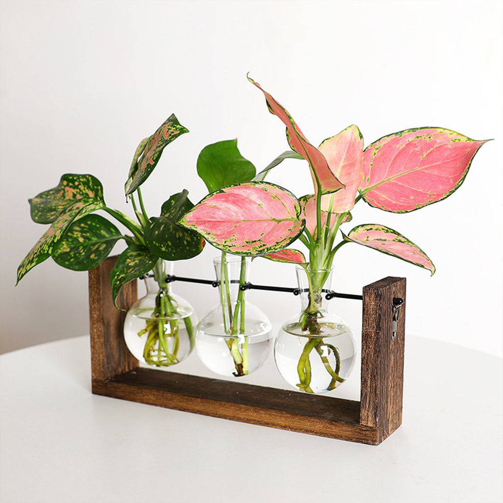 Wall Mounted Hydroponic Vase Green Plant Wooden Frame Vase for Living Room Home Decor