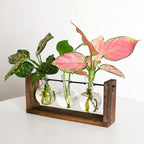 Wall Mounted Hydroponic Vase Green Plant Wooden Frame Vase for Living Room Home Decor