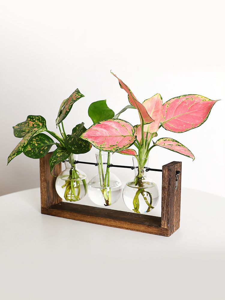 Wall Mounted Hydroponic Vase Green Plant Wooden Frame Vase for Living Room Home Decor