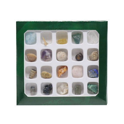20 kinds of Mini Size Natural Crystal Agate Stone Rocks Minerals Fossils Kids Teaching Materials for Geology Enthusiasts Collection Gifts