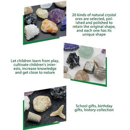 20 kinds of Mini Size Natural Crystal Agate Stone Rocks Minerals Fossils Kids Teaching Materials for Geology Enthusiasts Collection Gifts