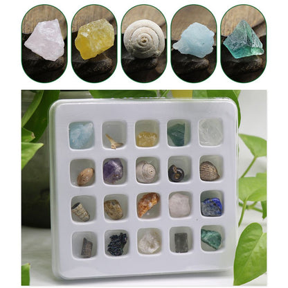20 kinds of Mini Size Natural Crystal Agate Stone Rocks Minerals Fossils Kids Teaching Materials for Geology Enthusiasts Collection Gifts