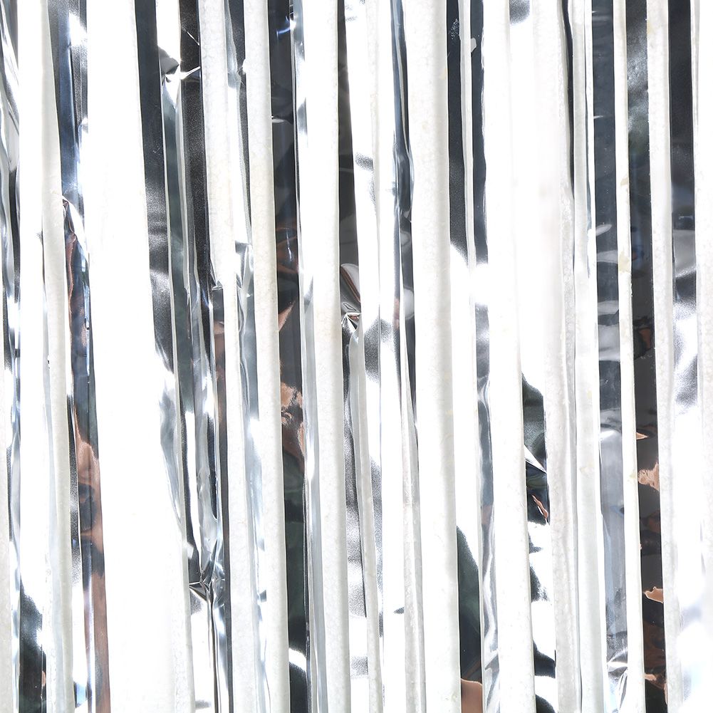 Birthday Wedding Party Reusable Fringe Curtain Doorway Room Hanging Decoration Silver 200cm