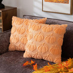 2pcs Pumpkin Fall Decorative Throw Pillow Covers Soft Pillow Cases for Chair Sofa Bedroom Living Room Home Decor Light Orange