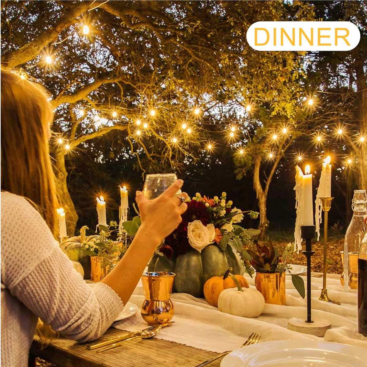Solar Panel LED Outdoor String Lights 49ft 20 Bulbs Globe String Lights Waterproof Patio Lights for Birthday Wedding Graduation Anniversary Party Dining Decor Outside Hanging Lights E12 Socket Base