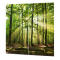 Forests Sunlight Printing Shading Curtains for Balcony Bedroom Drawing Room Window 150 * 166cm
