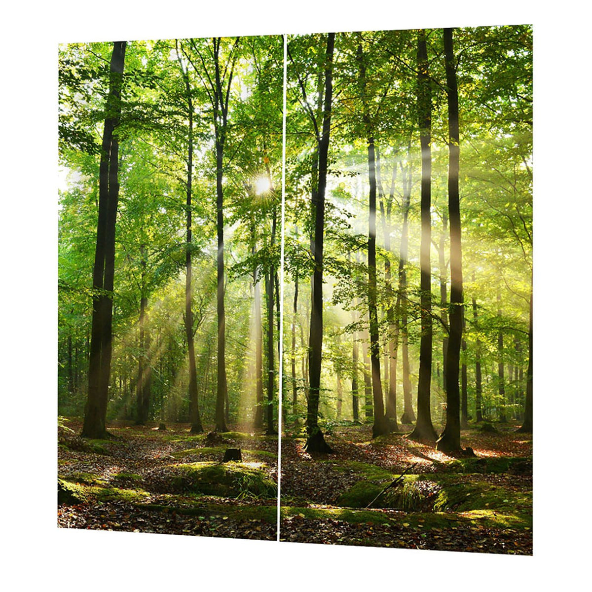 Forests Sunlight Printing Shading Curtains for Balcony Bedroom Drawing Room Window 150 * 166cm