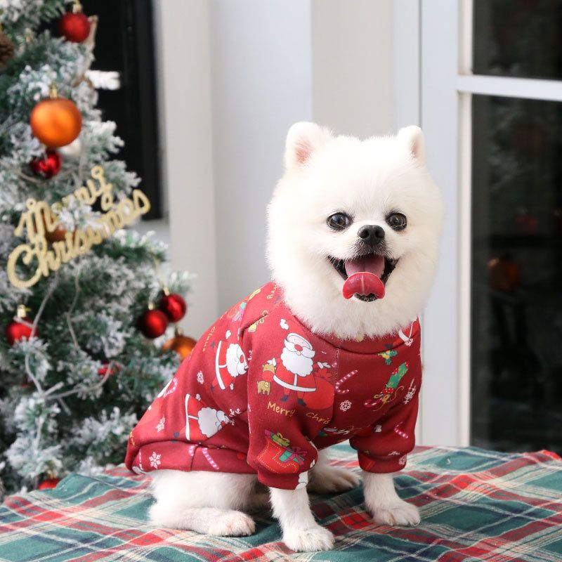 Valley Dog Pet Clothes Fleece Two Legged Autumn Winter (Anhui hair) two legs composite velvet green bottom old man M (chest circumference 40 back length 30)