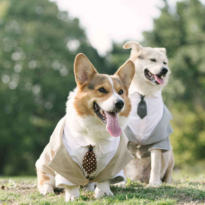 Pet Suit Dog Tuxedo Wedding little tail Polyester Khaki XL