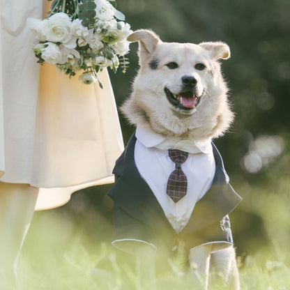 Pet Suit Dog Tuxedo Wedding little tail Polyester Khaki 5XL