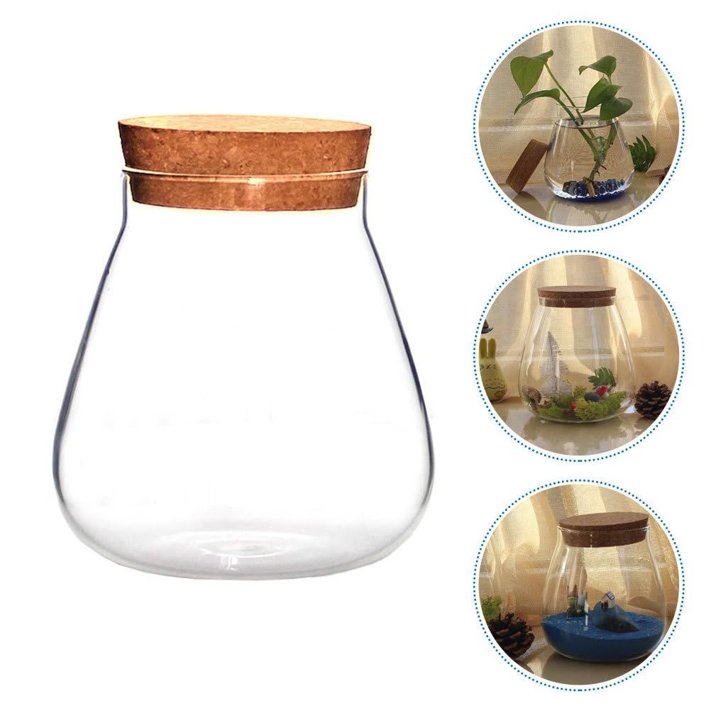 Micro Landscape Moss Succulent Plants Glass Vase Eternal Flower and Tree Stopper Luminous Ecological Glass Vase
