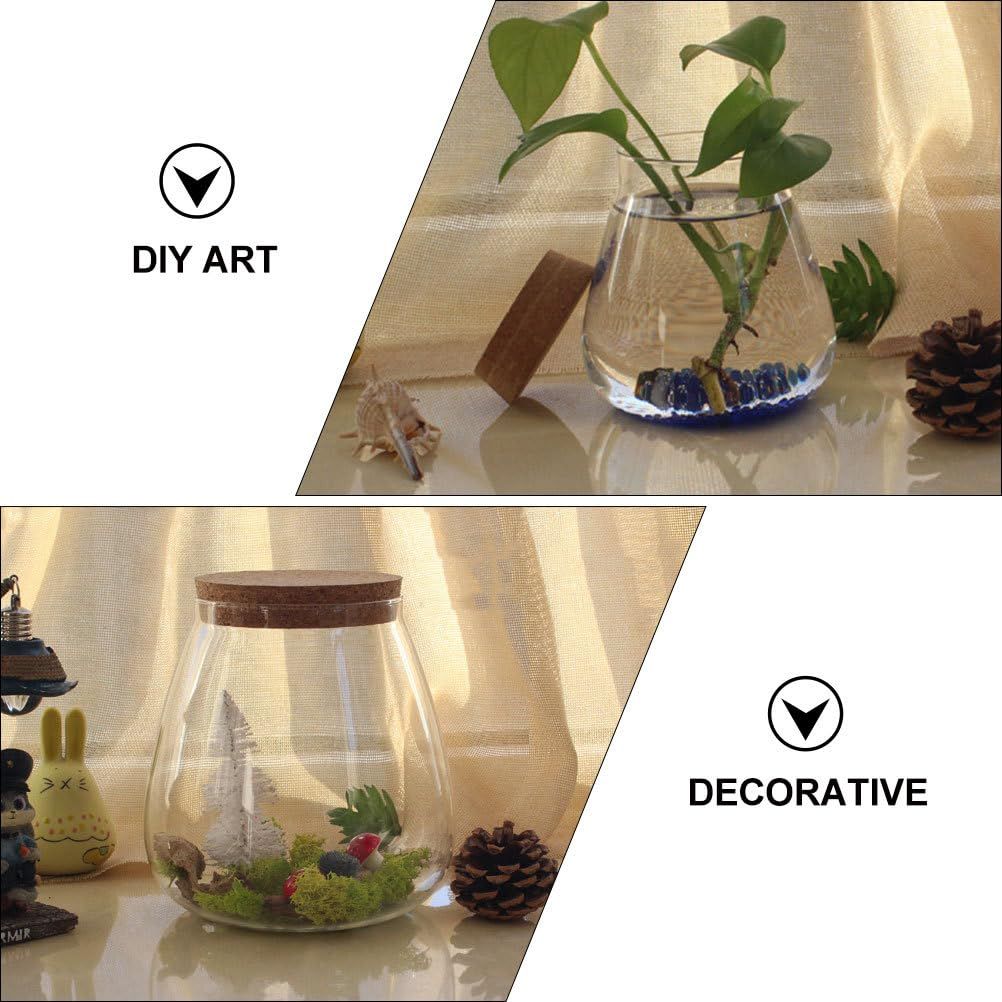 Micro Landscape Moss Succulent Plants Glass Vase Eternal Flower and Tree Stopper Luminous Ecological Glass Vase
