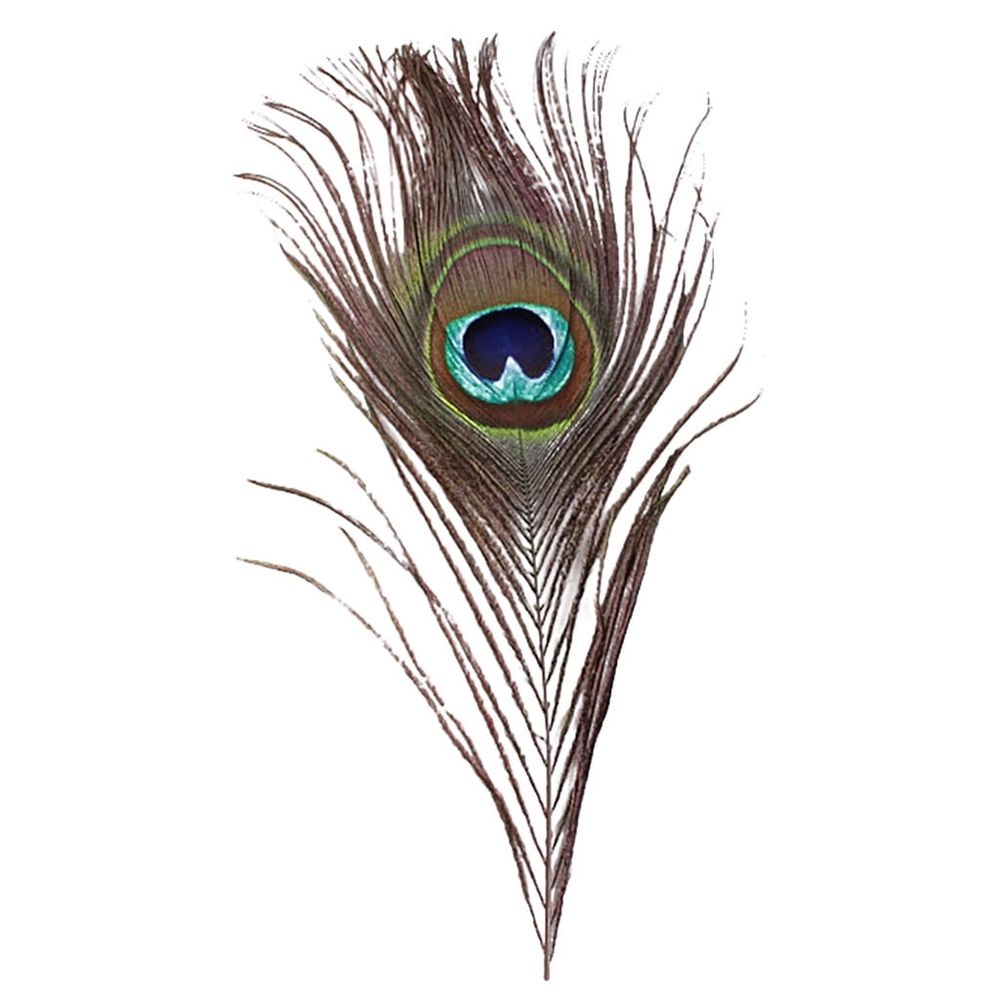 10Pcs Real Natural Peacock Plumes, 25-30Cm Large Eye Vase Diy Home Decor, 10-Piece, Peacock Plume, Diy Home Decor, Vase Decoration