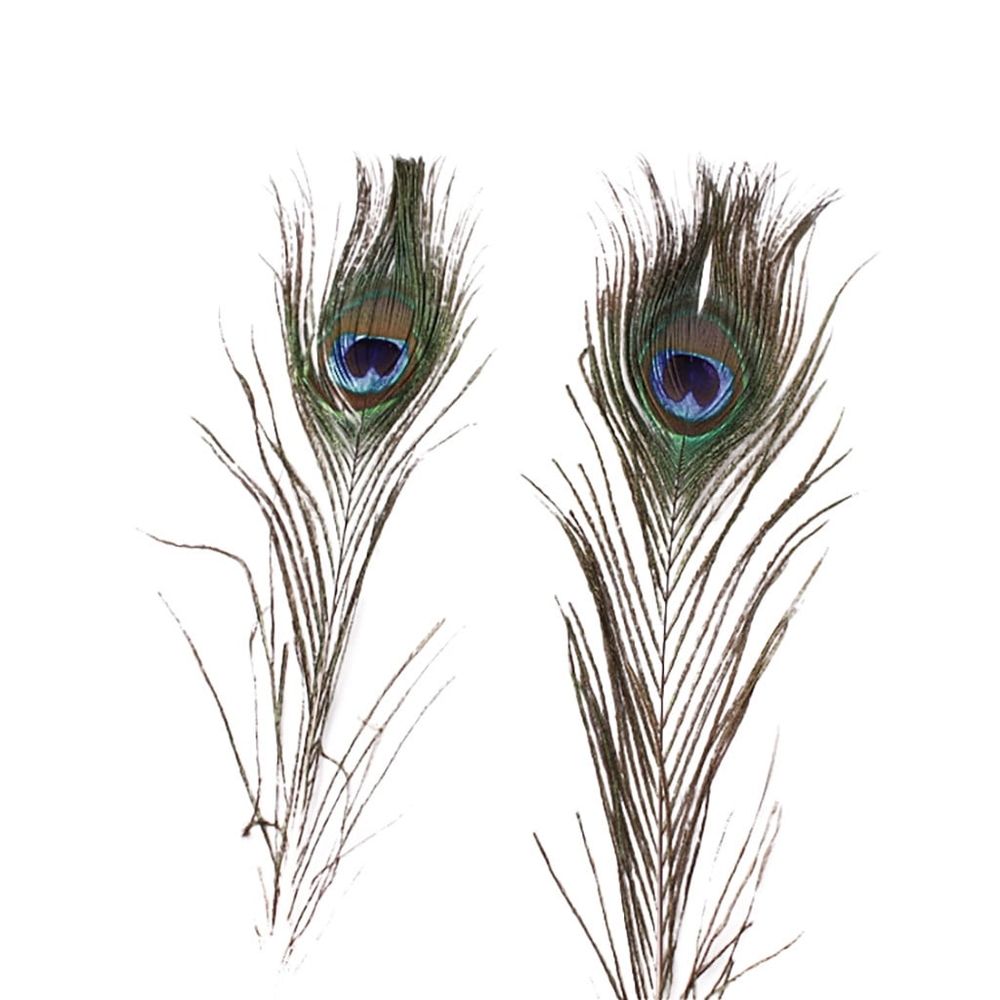 10Pcs Real Natural Peacock Plumes, 25-30Cm Large Eye Vase Diy Home Decor, 10-Piece, Peacock Plume, Diy Home Decor, Vase Decoration