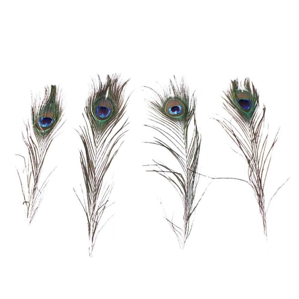 10Pcs Real Natural Peacock Plumes, 25-30Cm Large Eye Vase Diy Home Decor, 10-Piece, Peacock Plume, Diy Home Decor, Vase Decoration
