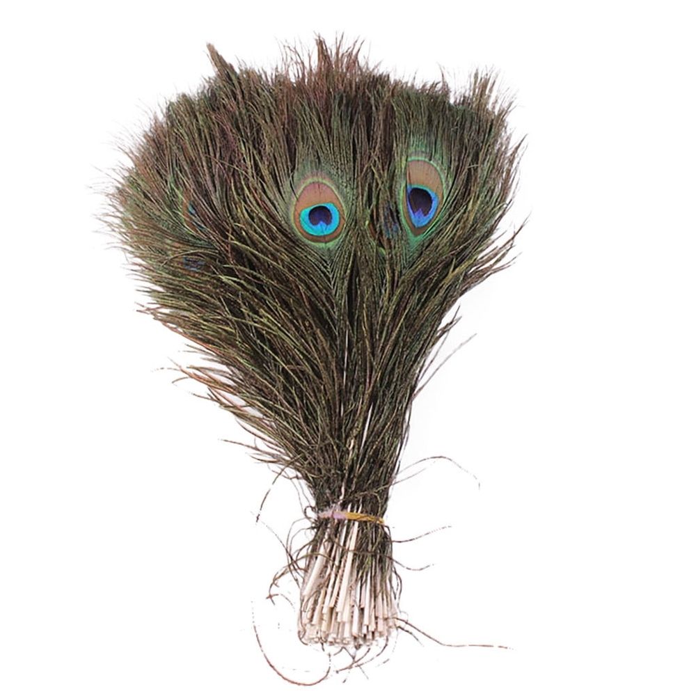 10Pcs Real Natural Peacock Plumes, 25-30Cm Large Eye Vase Diy Home Decor, 10-Piece, Peacock Plume, Diy Home Decor, Vase Decoration