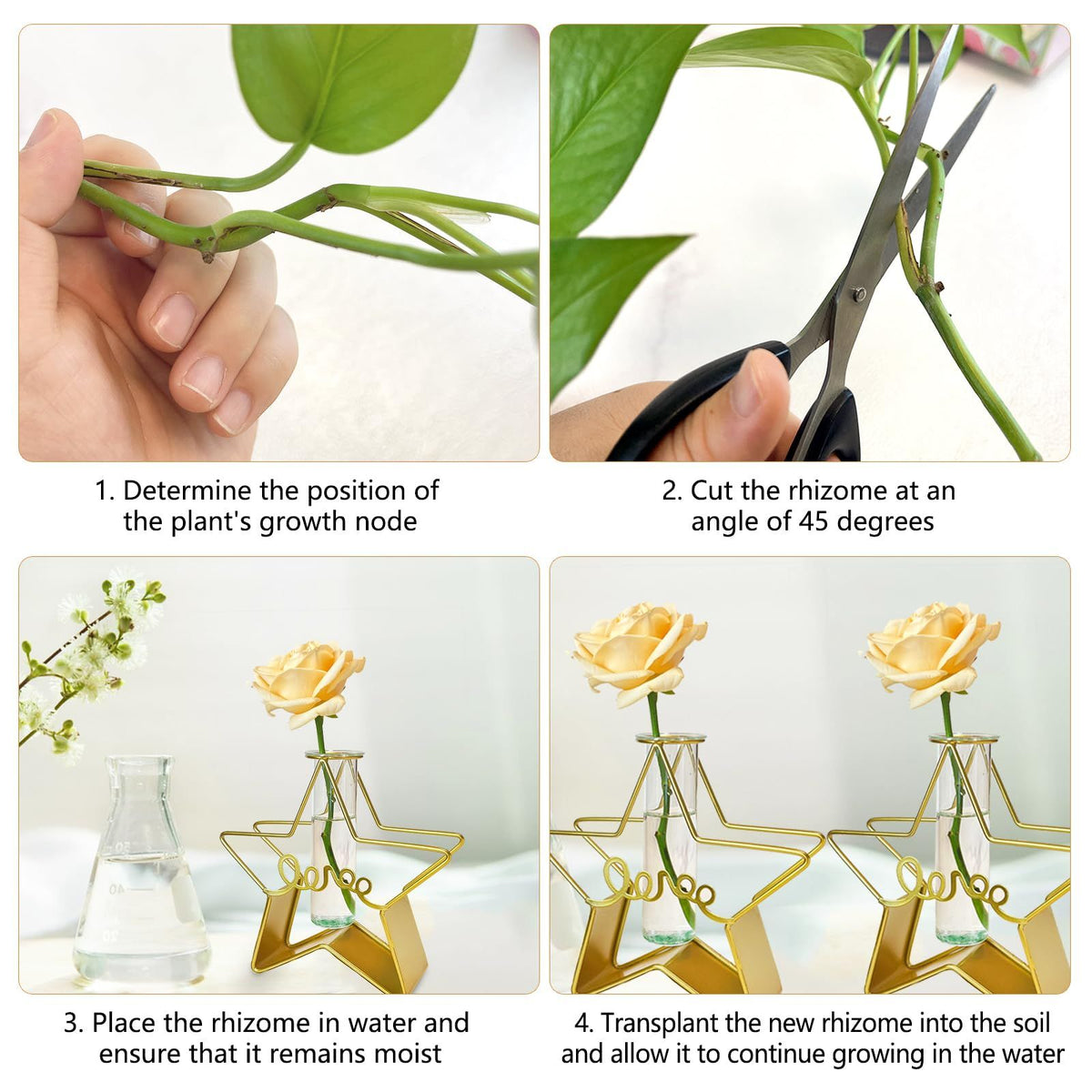 Gold Vase for Home Decor,Cute Glass Flower Vase for Party Wedding Decorations,Gold vases for centerpieces（Pentagram）