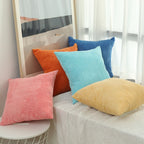 Orange Throw Pillows Covers 18x18 Set of 2,Decorative Throw Pillows Covers,Square Pillow Covers