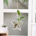 Clear Glass Hydroponic Vase, Compact Stylish Design for Small Spaces, Home Decoration and Plant Display