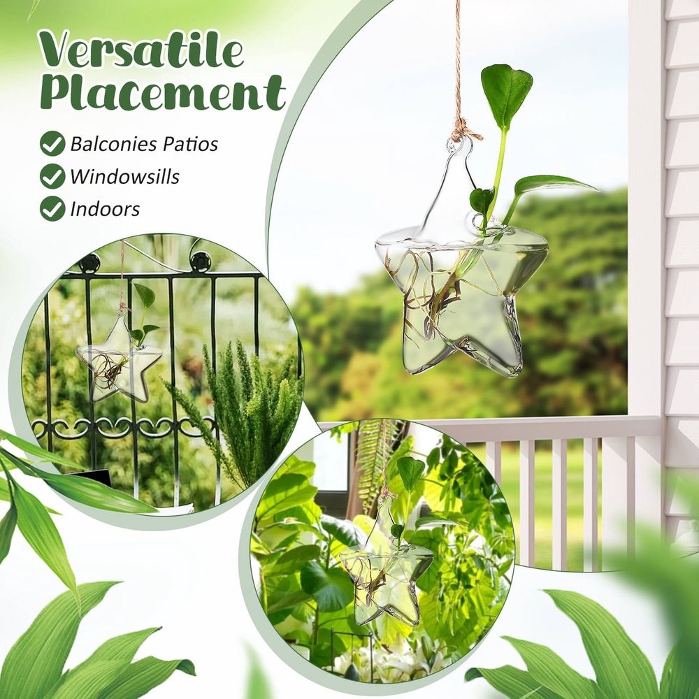 Clear Glass Hydroponic Vase, Compact Stylish Design for Small Spaces, Home Decoration and Plant Display