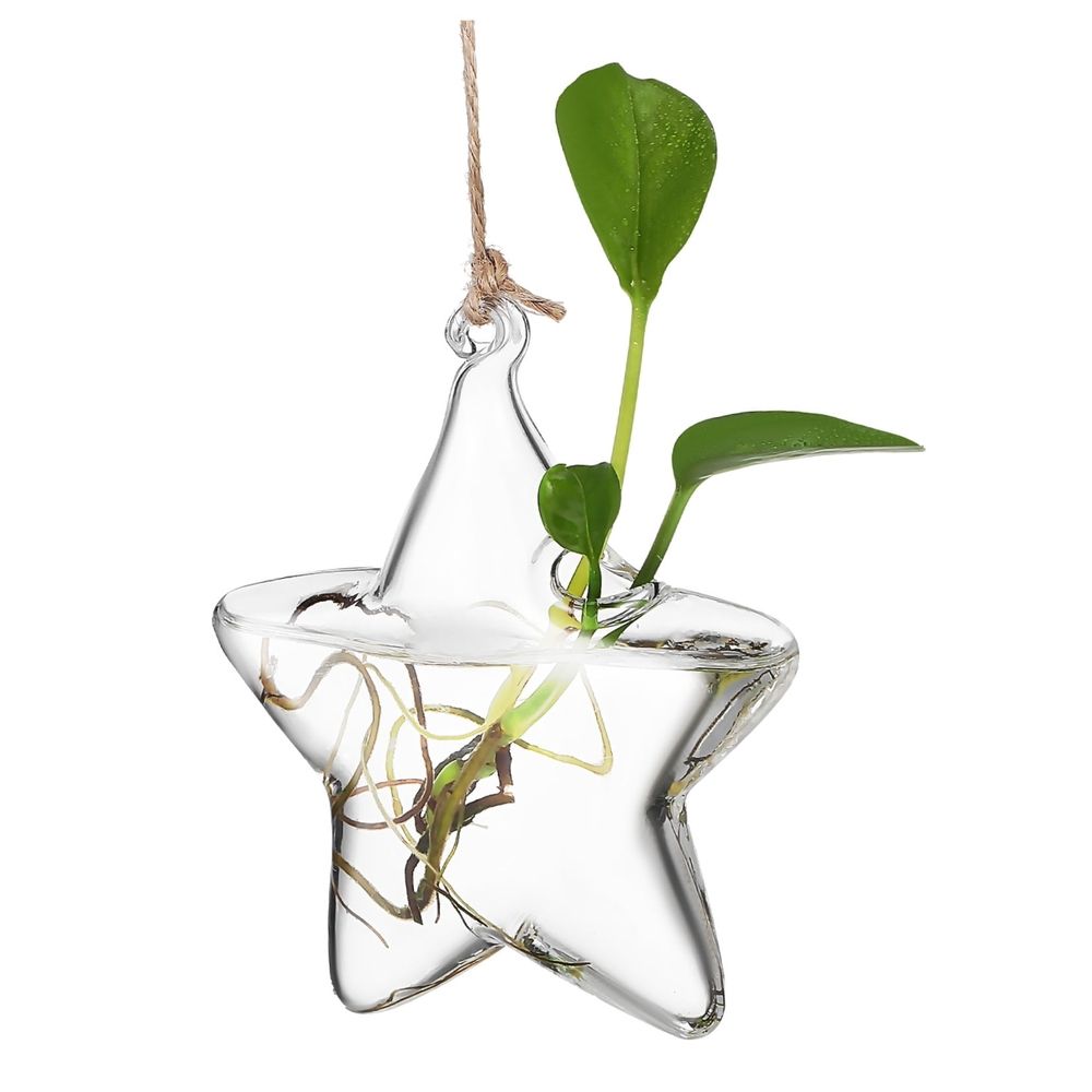Clear Glass Hydroponic Vase, Compact Stylish Design for Small Spaces, Home Decoration and Plant Display