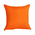 Pillow 18x18 Set Of 2 Decorations Indoor Throw Pillows For Home Couch Sofa Bed Room Bedroom