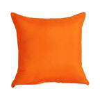 Pillow 18x18 Set Of 2 Decorations Indoor Throw Pillows For Home Couch Sofa Bed Room Bedroom