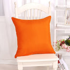 Pillow 18x18 Set Of 2 Decorations Indoor Throw Pillows For Home Couch Sofa Bed Room Bedroom