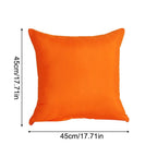 Pillow 18x18 Set Of 2 Decorations Indoor Throw Pillows For Home Couch Sofa Bed Room Bedroom