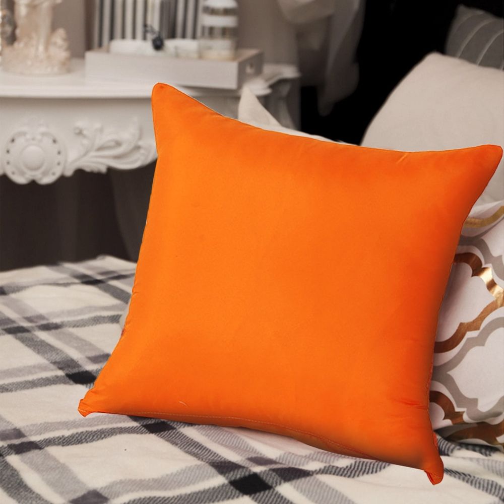 Pillow 18x18 Set Of 2 Decorations Indoor Throw Pillows For Home Couch Sofa Bed Room Bedroom