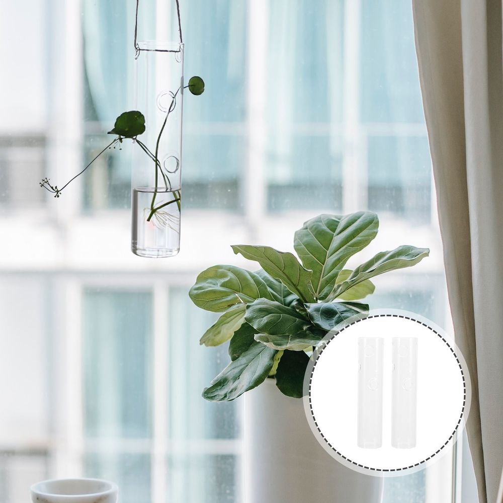 2pcs Hanging Glass Hydroponic Vase for Plants and Home Decor
