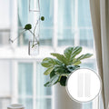 2pcs Hanging Glass Hydroponic Vase for Plants and Home Decor